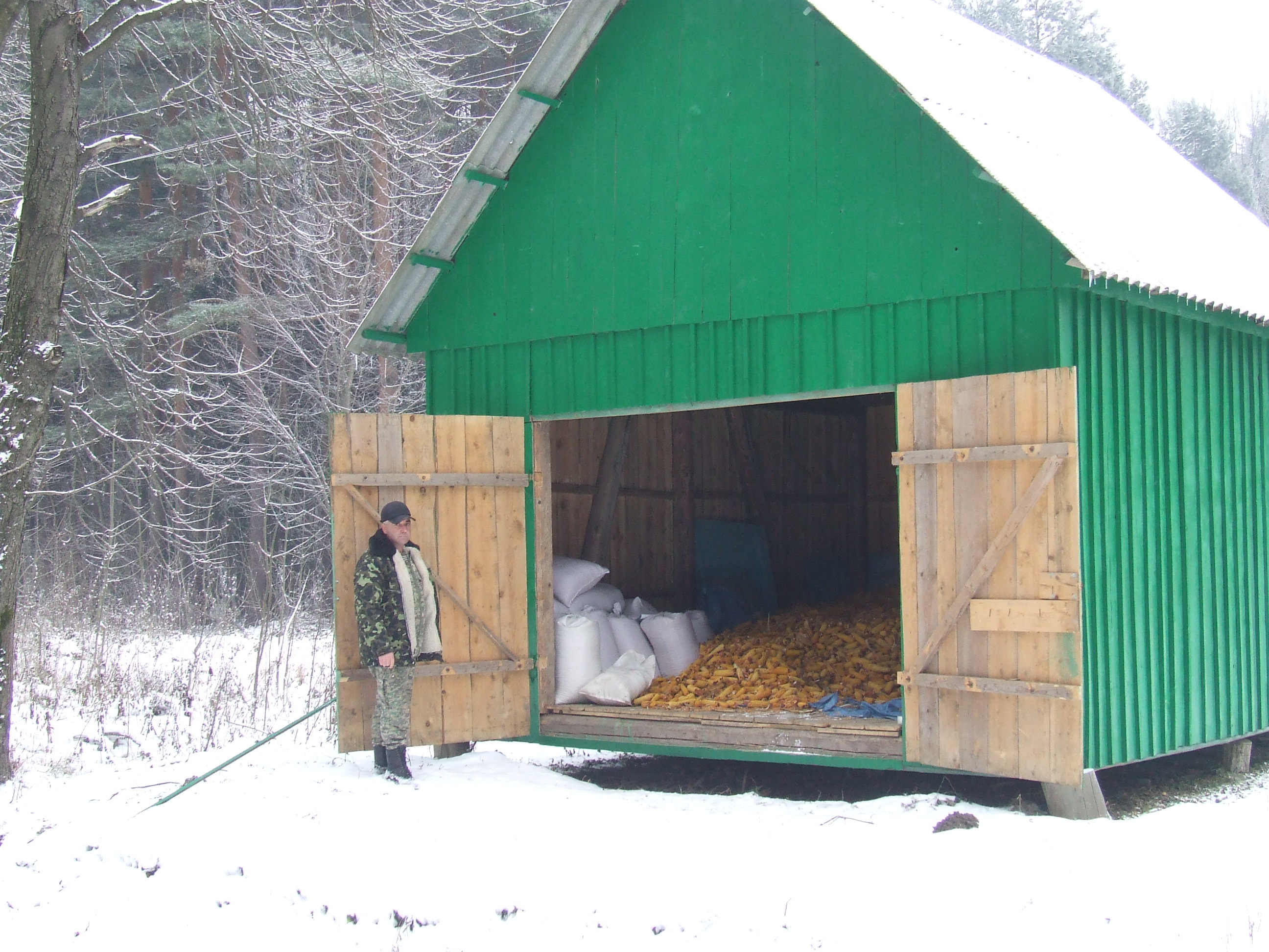 Для підгодівлі диких тварин лісівники Буковини заготовили та закупили 80 тонн сіна, більше 100 тонн різних зернових культур 