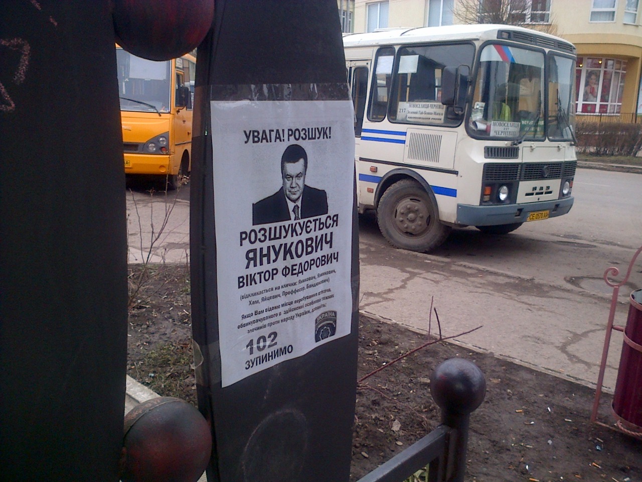 У Новоселиці шукають Януковича