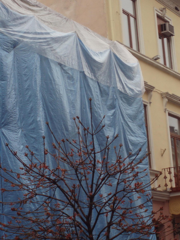 Громадські активісти врятували від спотворення фасад будинку на вулиці Ольги Кобилянської
