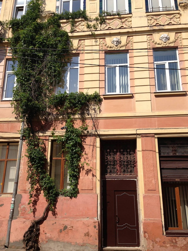 Виконавцям демонтажу історичних дверей у Чернівцях загрожує штраф (+відео)