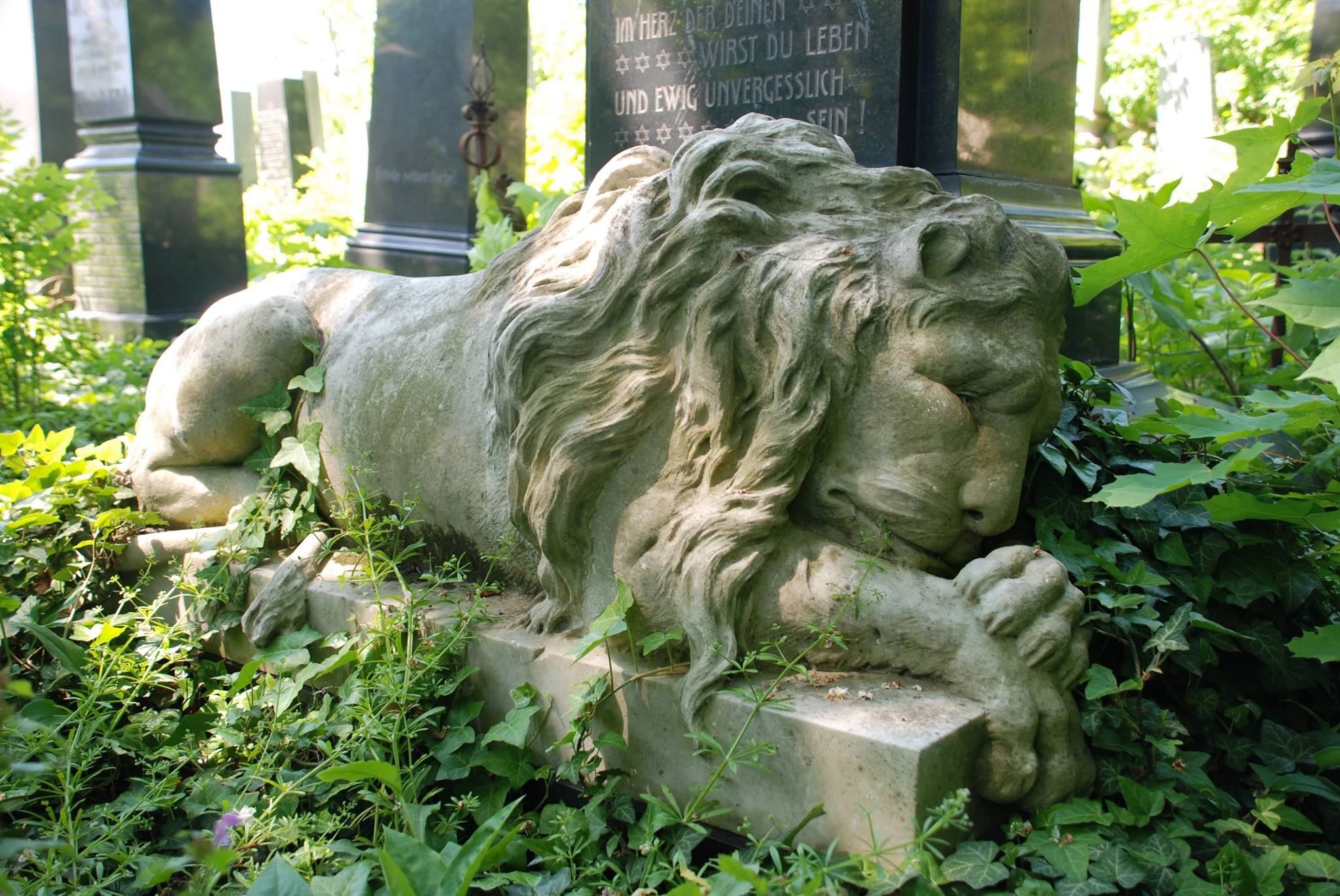 На прибазарному чернівецькому кладовищі можуть з'явитися важливі об’єкти культурної спадщини 