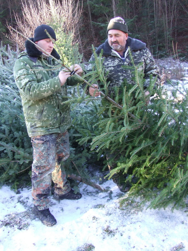 З Новим роком та Різдвом вітають лісівники