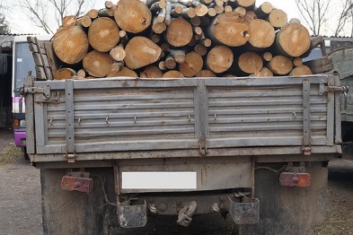 На Путильщині затримали вантажівку з деревиною