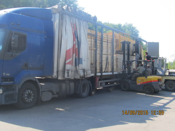 У Мамализі попередили спробу незаконного експорту лісоматеріалів до Молдови