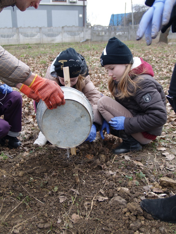 Яблуневий кластер «Буковина» та волонтери провели екологічну акцію по озелененню міста Чернівці