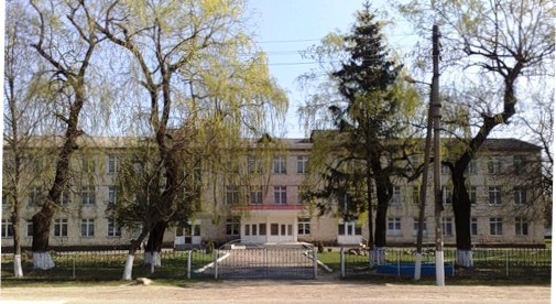 Об'єднана громада на Буковині вирішила оптимізувати школи: нардеп Тіміш - обурений!