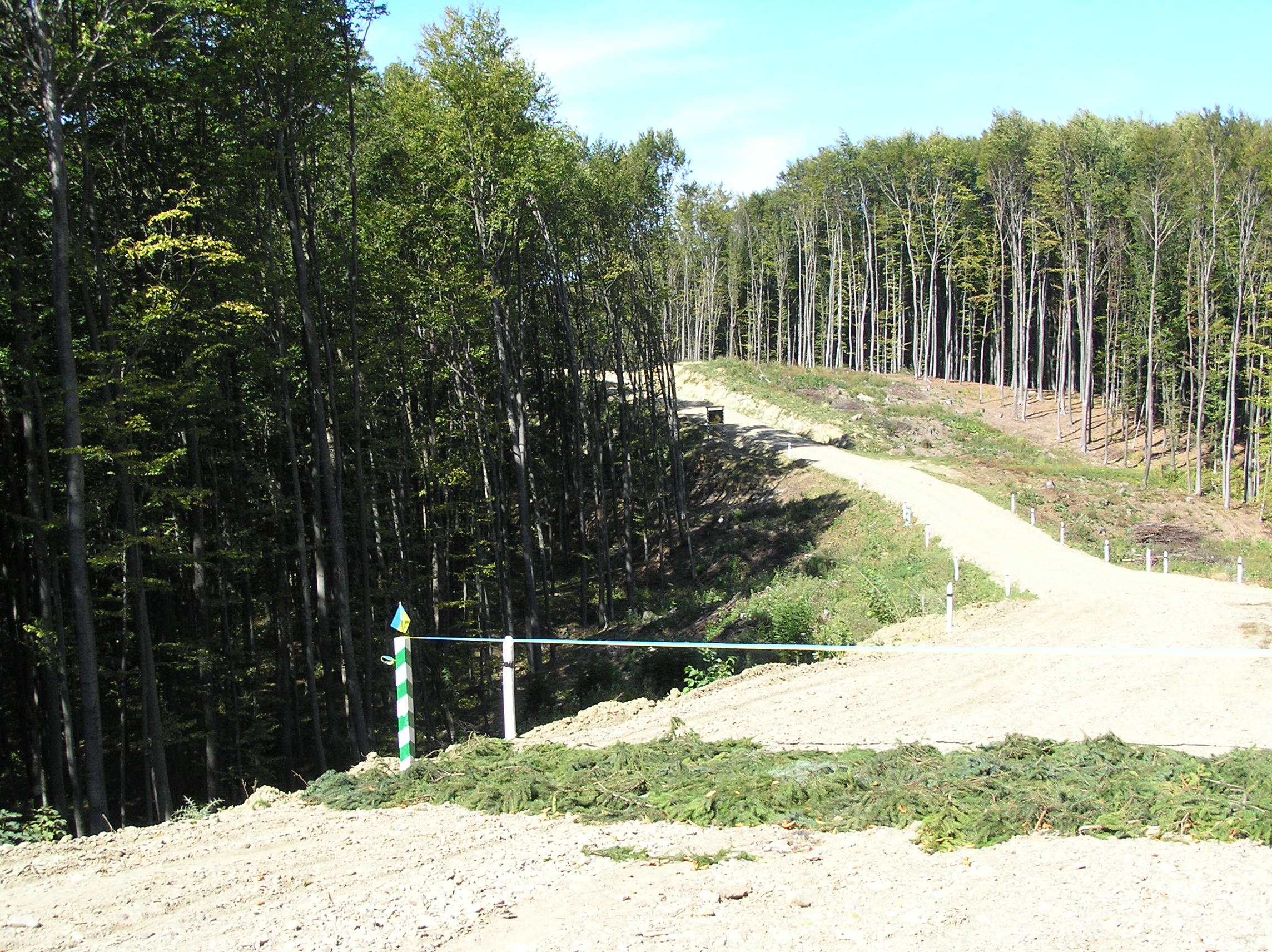 У Сторожинецькому районі відкрили нову 3-кілометрову лісову дорогу