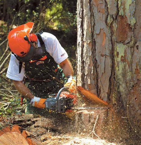 Через службову недбалість майстра лісу державі завдано збитків на суму понад 330 тис. грн.