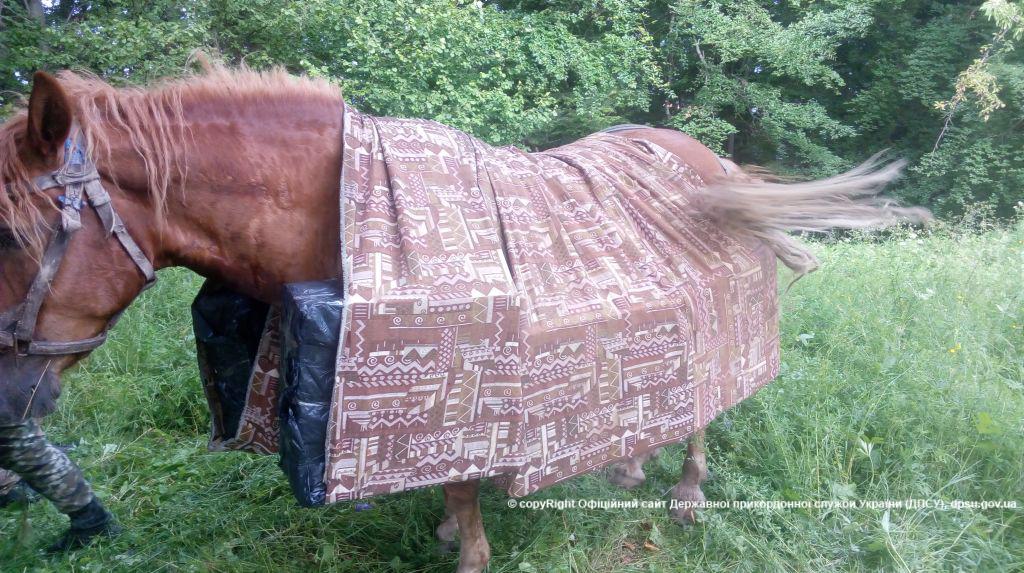 Не осавул: на Буковині контрабандист покинув коня з вантажем цигарок