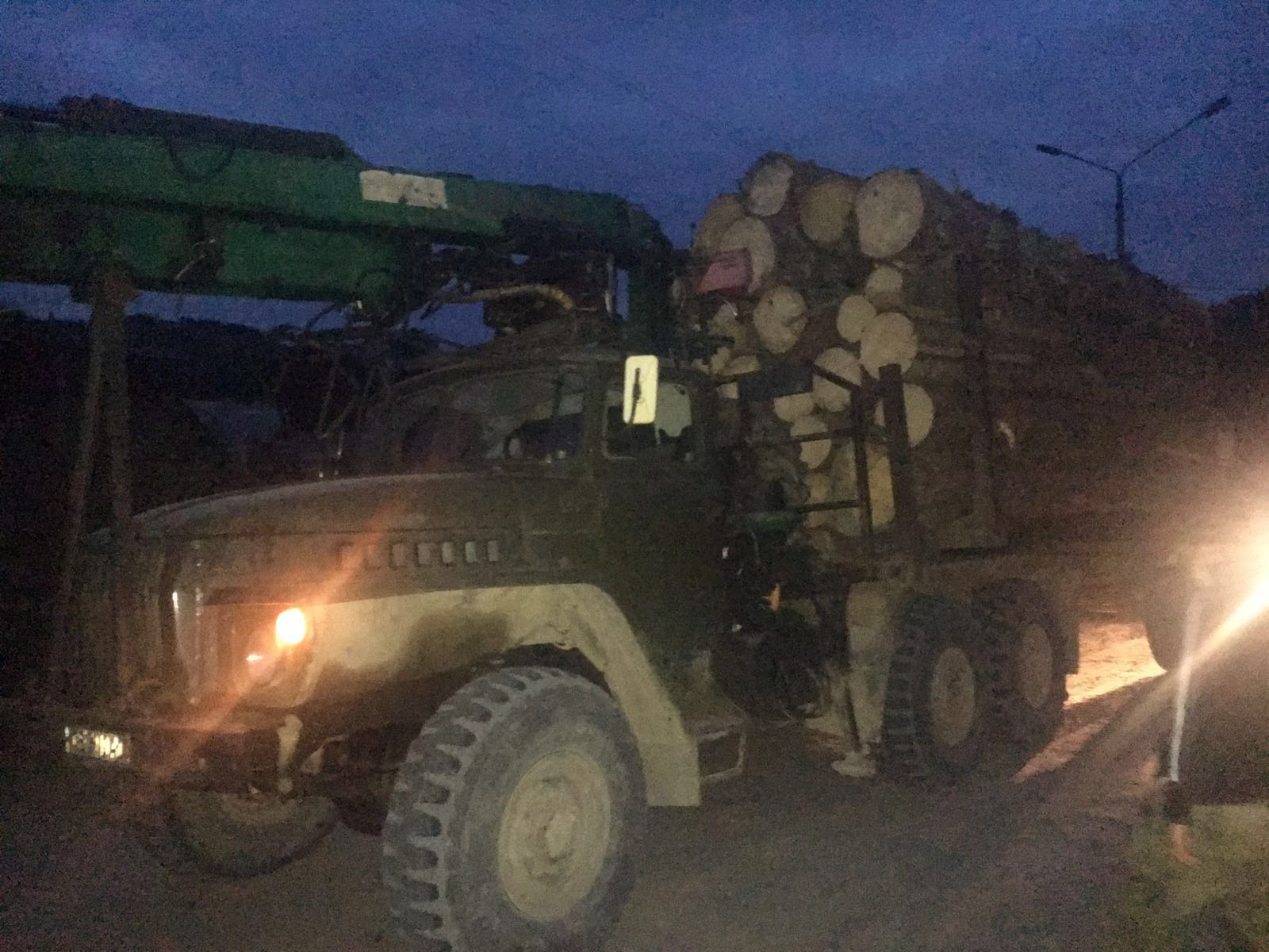 Три вантажівки з краденим лісом затримали на Буковині 