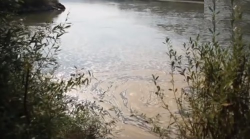 На березі Прута знайшли колектор, стічні води з якого, ймовірно, витікають у річку