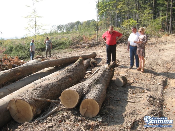 На Буковині громада повстала на захист лісу біля Нових Драчинець