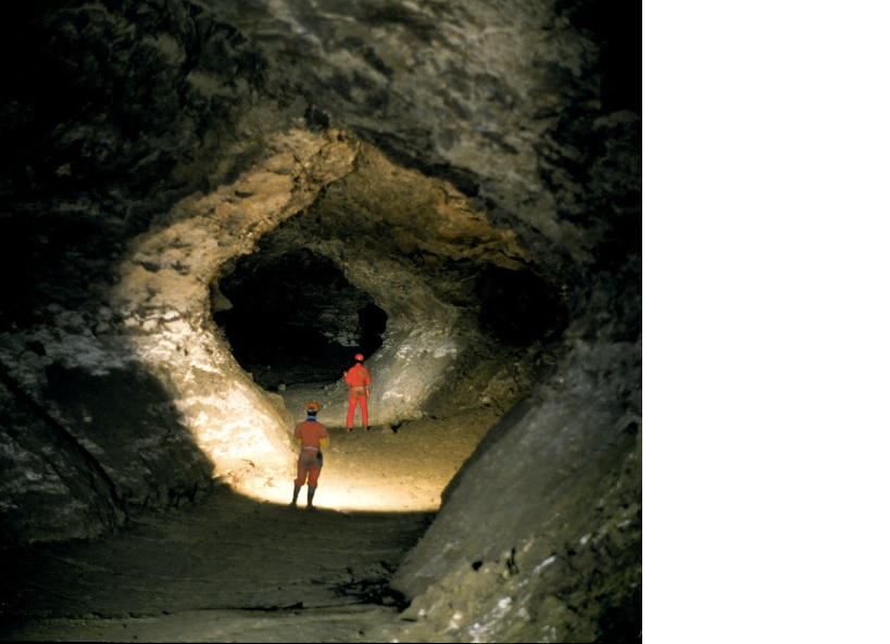 Спелеологи Буковини відзначили ювілей відкриття печери 'Попелюшка' 