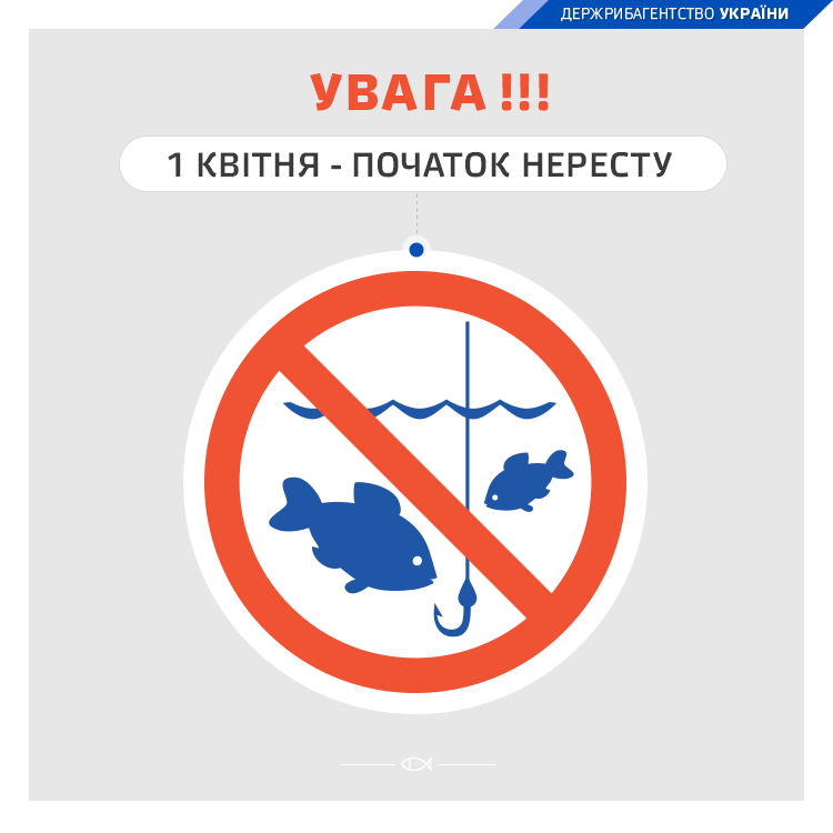 З 1 квітня у 21 області України стартує нерестова заборона на вилов риби