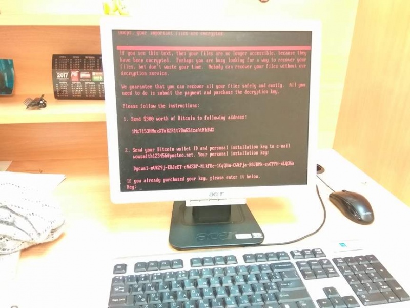 Кіберполіція та СБУ радять, як вберегти свій комп’ютер від хакерських атак (ОНОВЛЕНО)