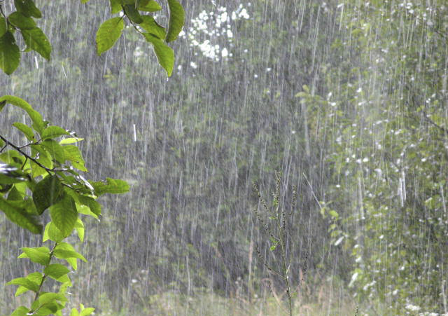 У Чернівцях відтворять шокуючий обряд викликання дощу 