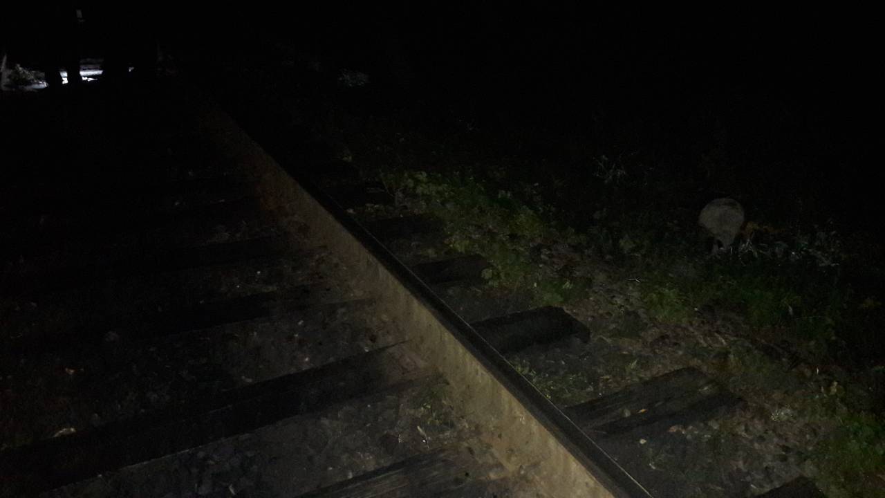 Чернівчанин потрапив під поїзд неподалік моста по вулиці Руській