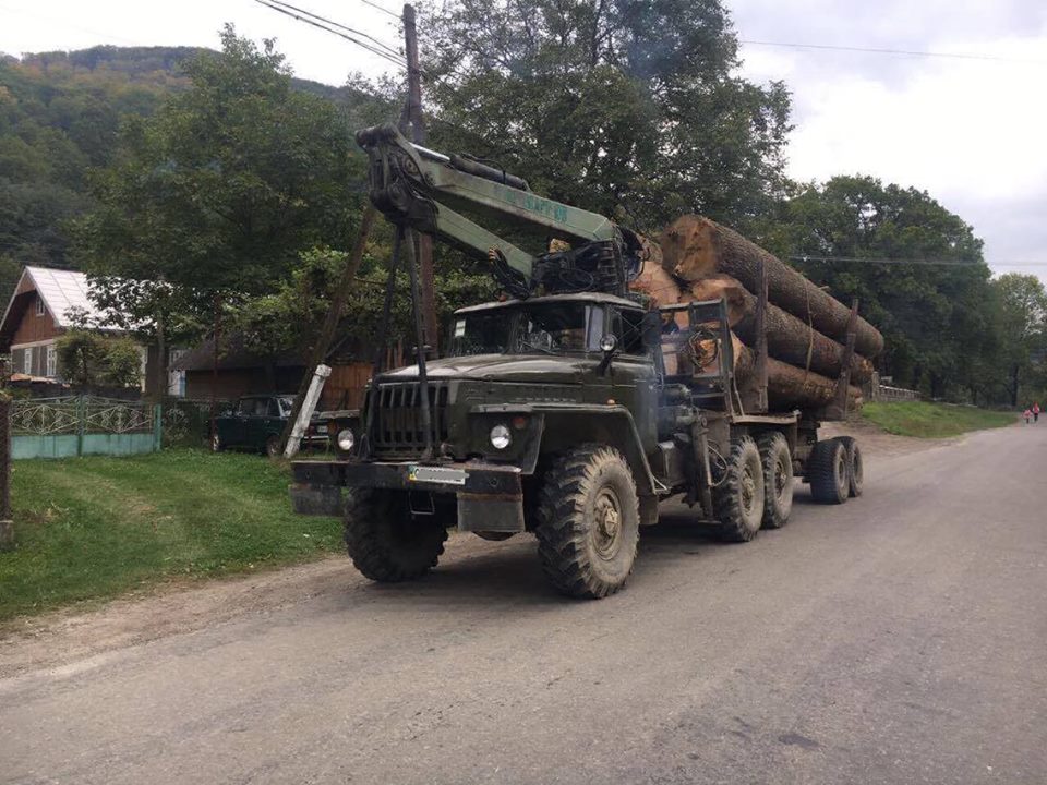 На Буковині СБУ затримала вантажівку з незаконно вирубаною деревиною