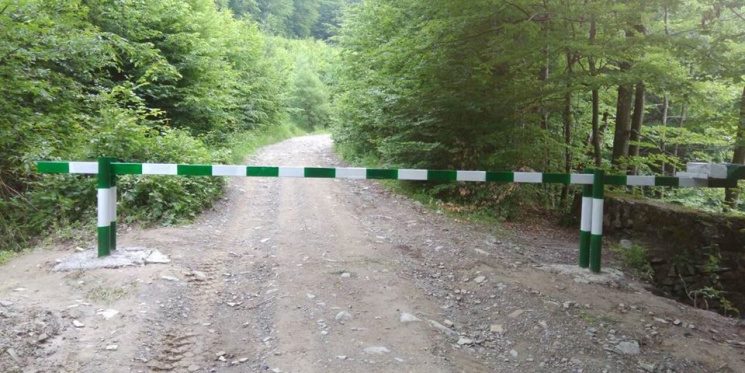 Шлагбауми на лісових дорогах Буковини мають бути відкриті у денний час