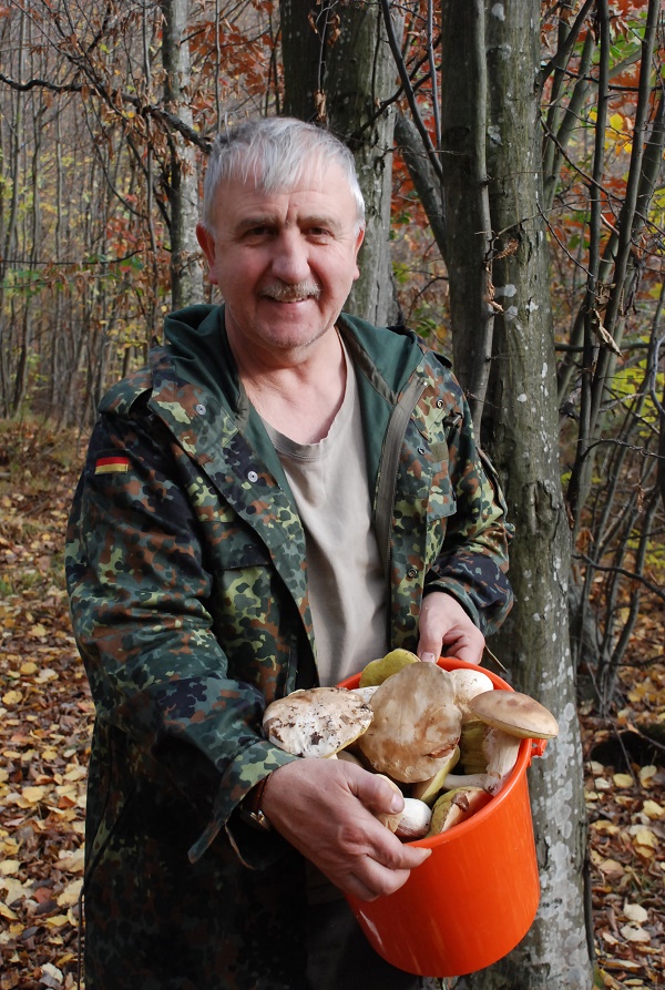 У лісі поблизу Глибоки грибник виявив і зібрав 29 білих грибів в одному місці 