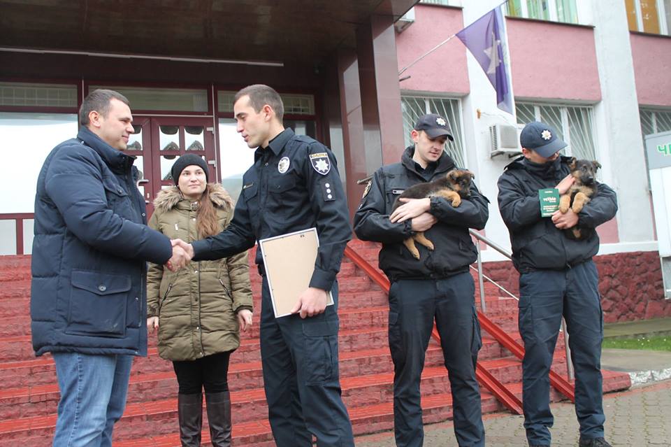 На Буковині «батьківщинівець» придбав для поліції  двох службових собак