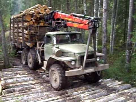 На Путильщині правоохоронці знову викрила факт незаконного перевезення лісодеревини