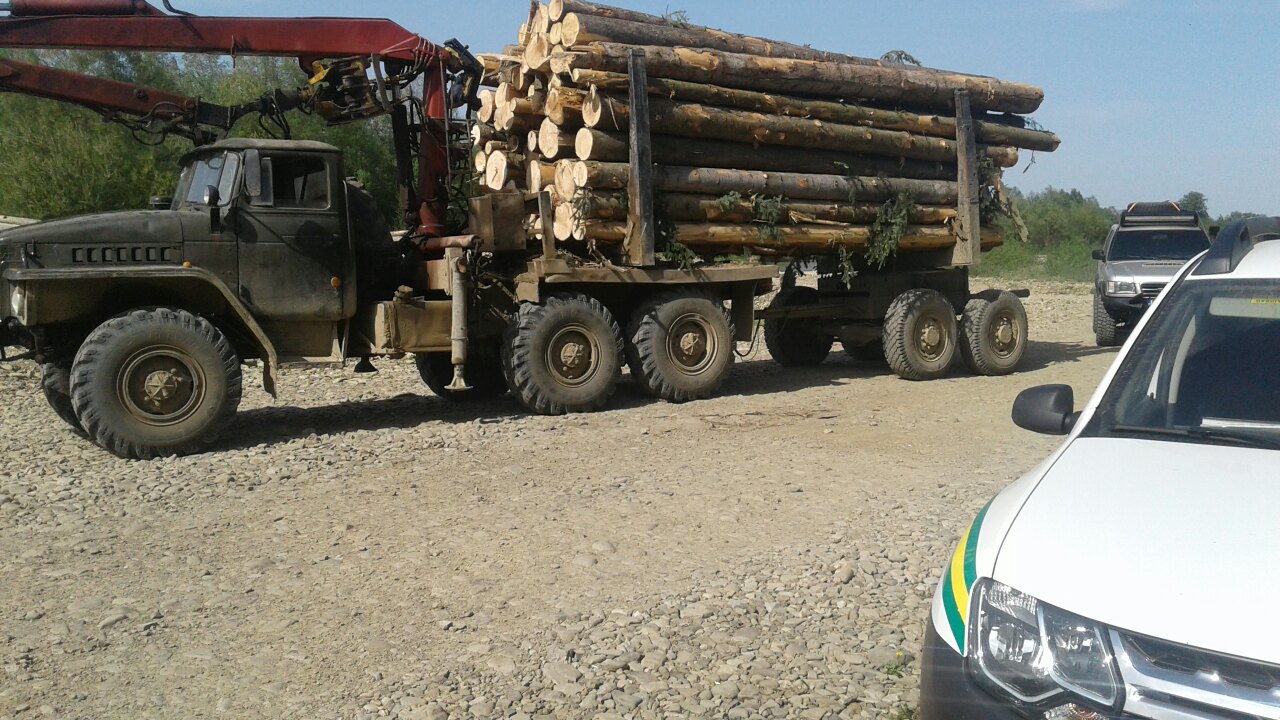 На Вижниччині затримали приватний лісовоз, який віз немарковану деревину