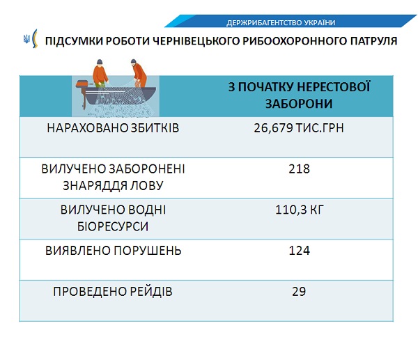 У Чернівецькій області браконьєри за місяць наловили 110 кг риби у 218 сіток    