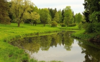 На Сокирянщині невідомі особи незаконно використовують землі водного фонду