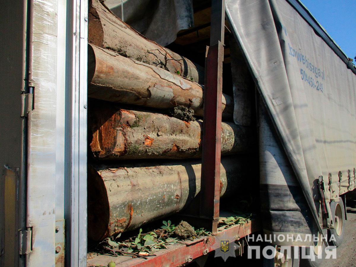 Вантажівку з діловою деревиною без відповідних документів виявили на Сторожинеччині
