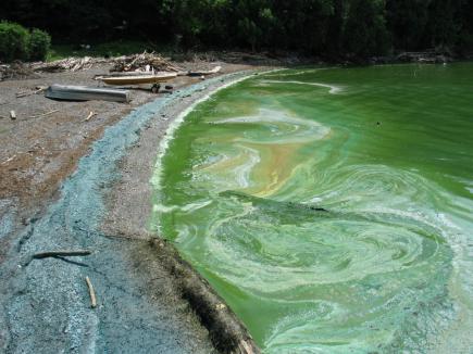 Миючі засоби та недостатня очистка стічних вод  збільшують концентрацію фосфатів у річках 