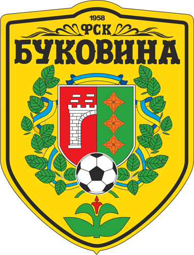 Чернівецька обласна рада виділила для потреб футбольного клубу «Буковина» 800 тис. грн.