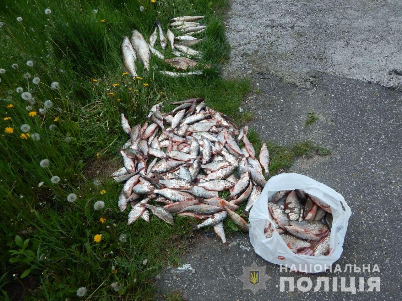 Двох рибалок, які у Вороновиці сітками ловили рибу, можуть на три роки посадити за ґрати 