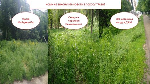  „Хоч трава не рости“: у Чернівцях управлінські компанії мають накосити трави на півтора мільйона гривень 