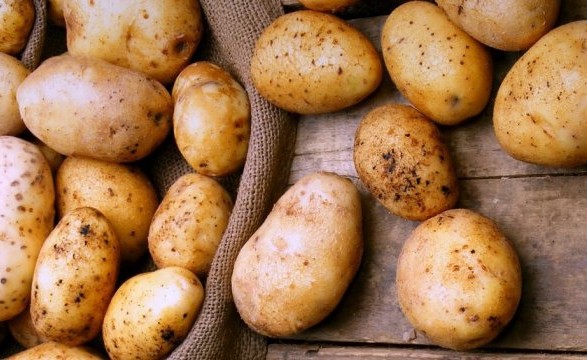 Буковинців чекає ціновий бум на картоплю - експерт
