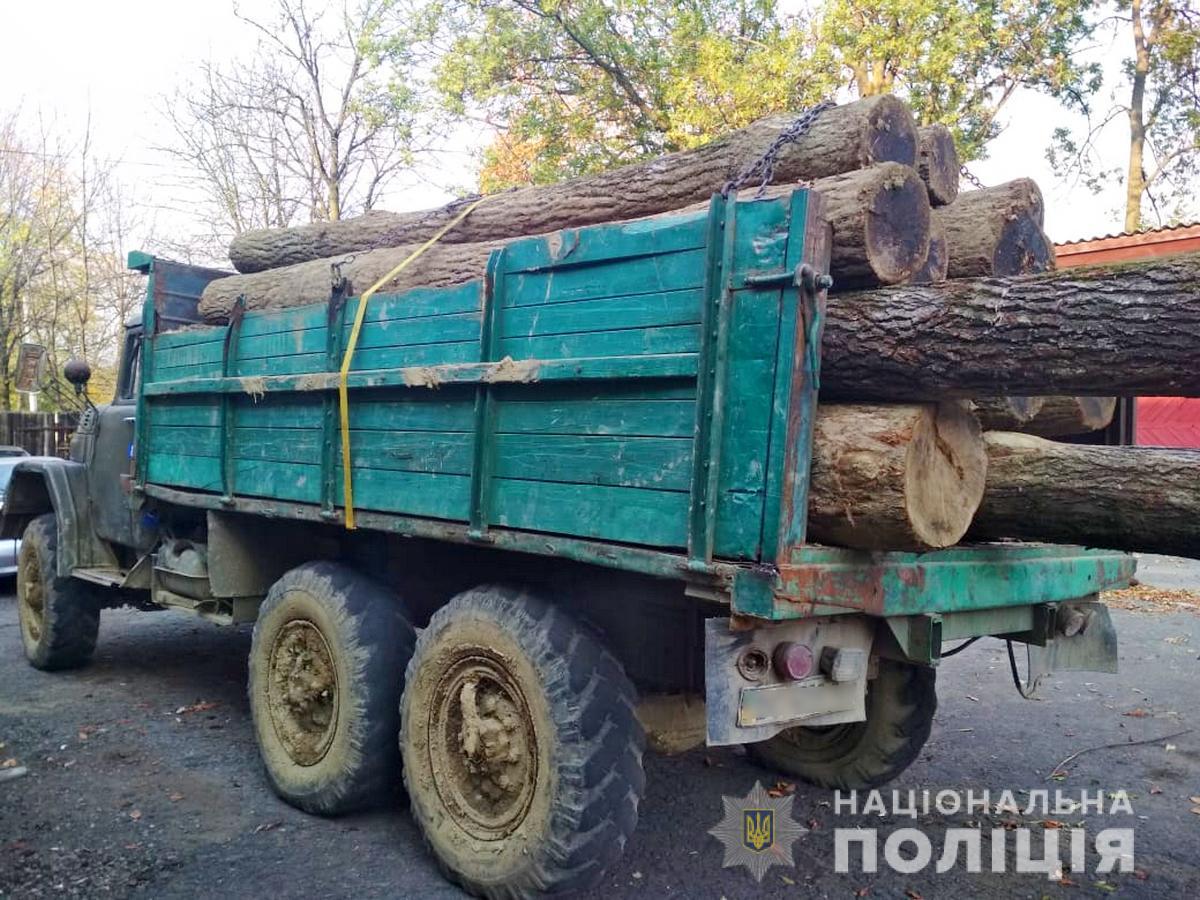 Житель Вижницького району перевозив колоди дуба без відповідних документів