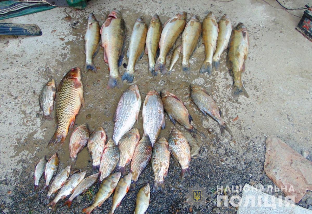 Браконьєри з Михалкове виловили сіткою приблизно 60 кілограмів риби