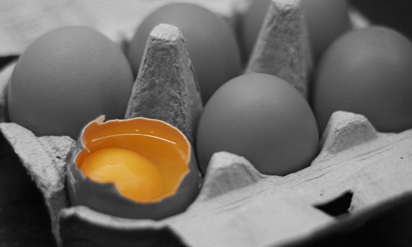 Яйце для Порошенка: на порушника склали адмінпротокол