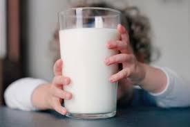 На Буковині підприємці «розпиляли» пів мільйона на молоці для учнів