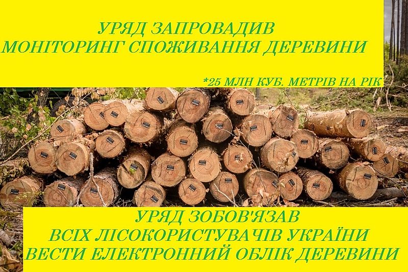 Уряд обмежив внутрішнє споживання необроблених вітчизняних лісоматеріалів 25-ма мільйонами кубічних метрів на рік 