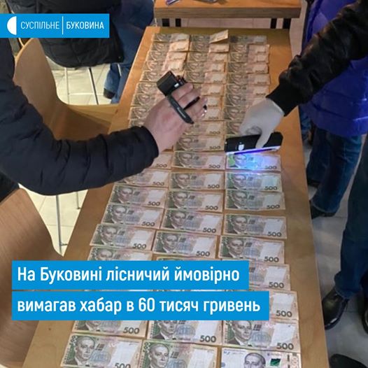 В Чернівецькій області головного лісничого затримали на хабарі 60 тисяч гривень