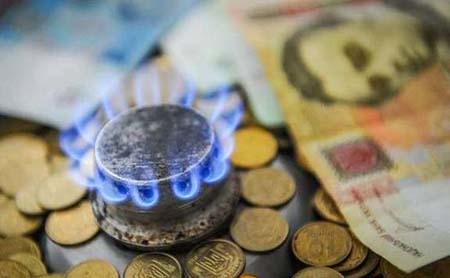 Нардепи від Буковини вимагають від уряду скасувати абонентську плату за транспортування природного газу для побутових споживачів, - Олена Лис