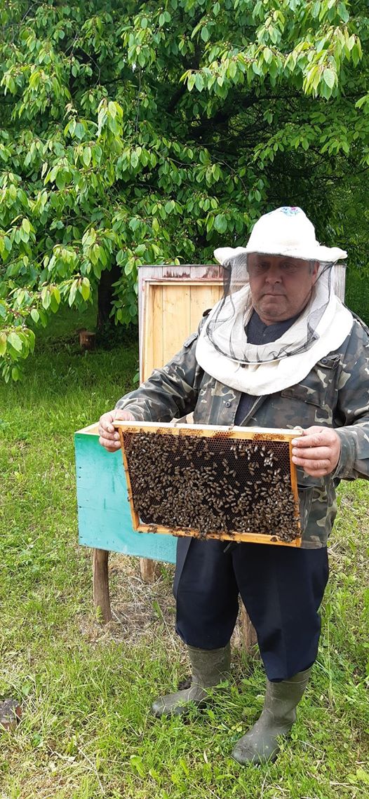 На буковинських пасіках вже викачали перший травневий мед