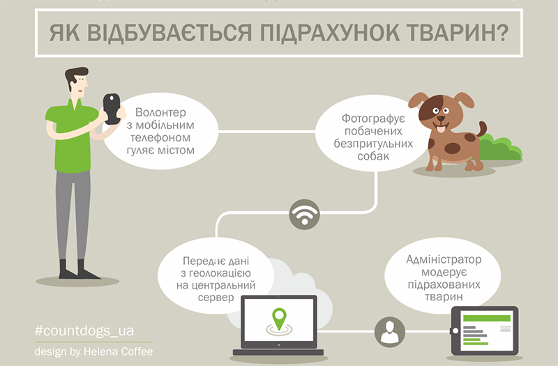 У Чернівцях підрахують безпритульних собак за допомогою унікального програмного забезпечення для мобільних пристроїв