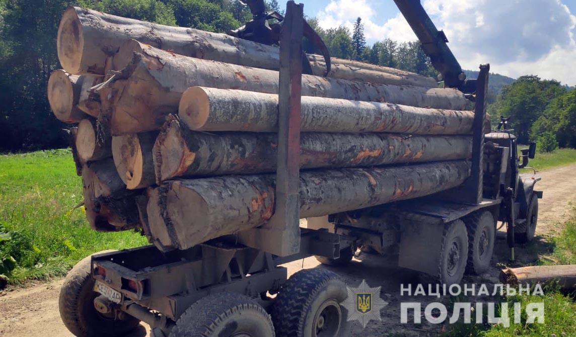 У Берегометі зі складу перевозили деревину на лісовозі без документів 