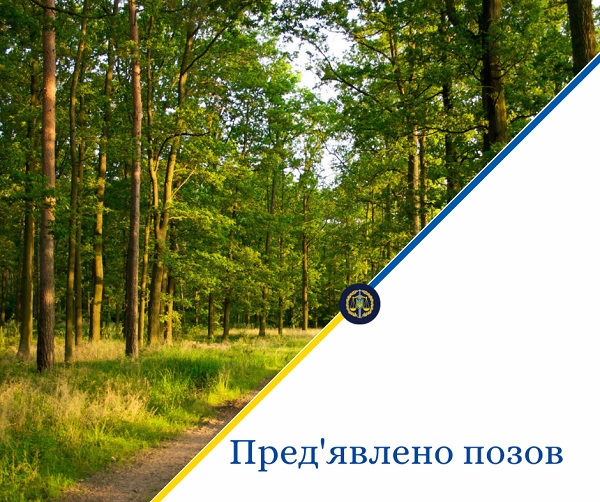 На Буковині відсуджують гектар лісу, який Чернівецька ОДА ще 2019 року віддала в добрі руки