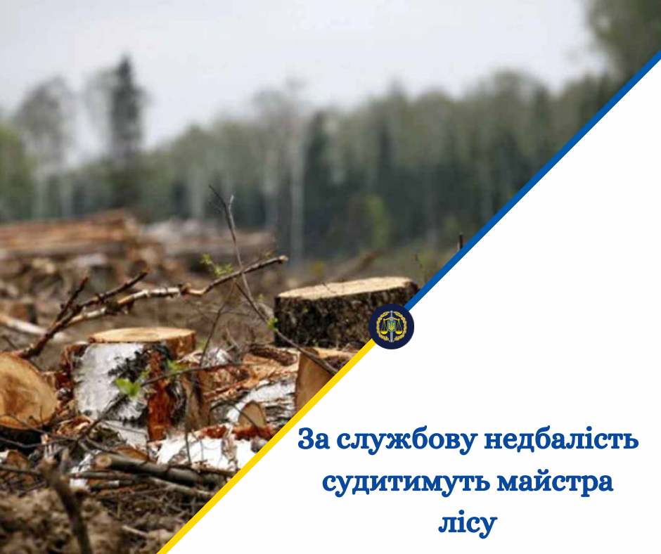 На Буковині судитимуть майстра лісу: державі завдано понад 200 тис грн збитків