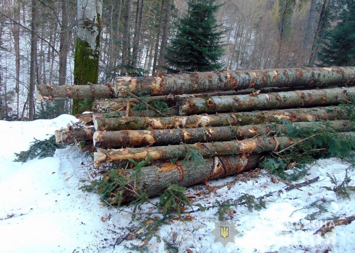 На території села Банилів-Підгірний  виявили склад із необлікованою деревиною 