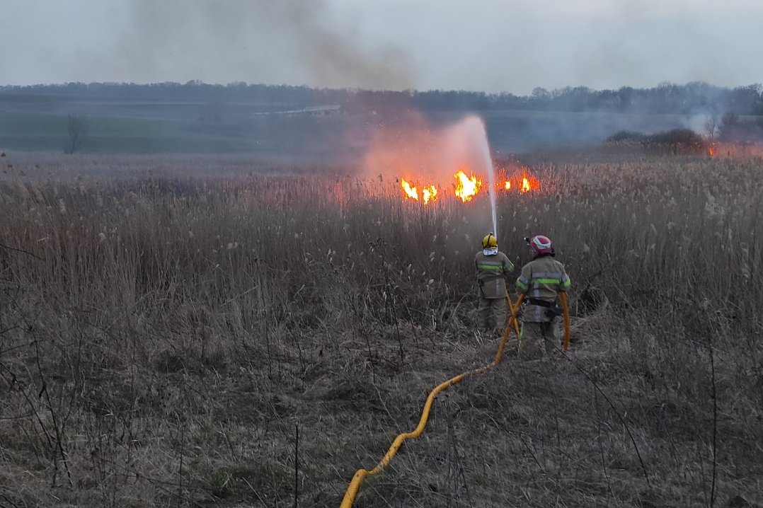 На Буковині виникли 17 пожеж, більшість – через спалювання сухої трави