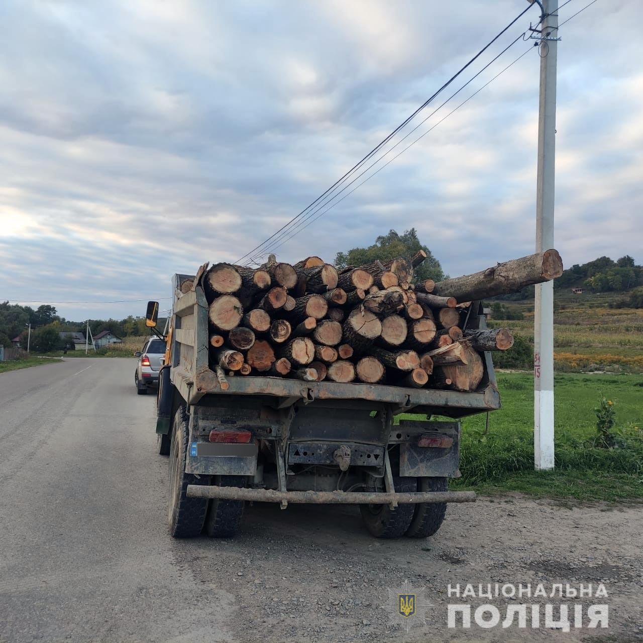 У селі Валя Кузьмина зупинили «КАМАЗ» завантажений краденим лісом  